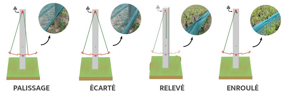 Les différentes position du filet anti-grêle pour vignes d'Alphatex : le Grape Protect