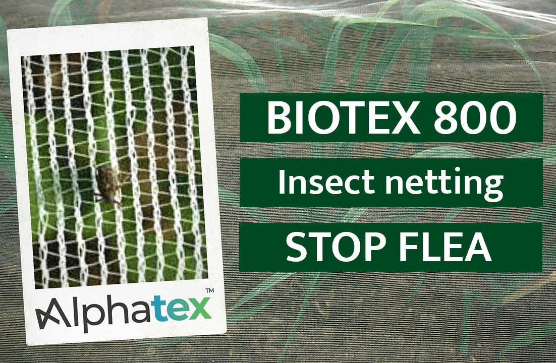 Biotex 800 insect net