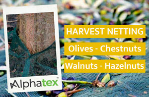 Harvest netting for olives, chestnuts, walnuts, hazelnuts and tree seeds. For professionals