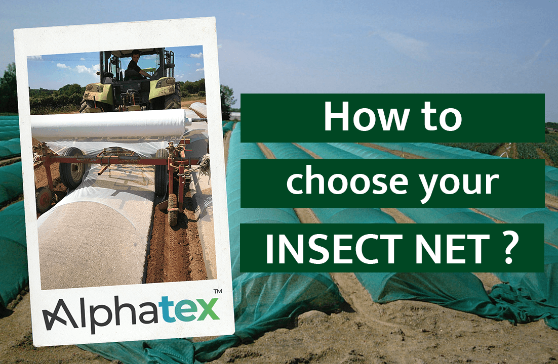 How to choose your insect net