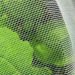 BIOTIS 450 - Insect net