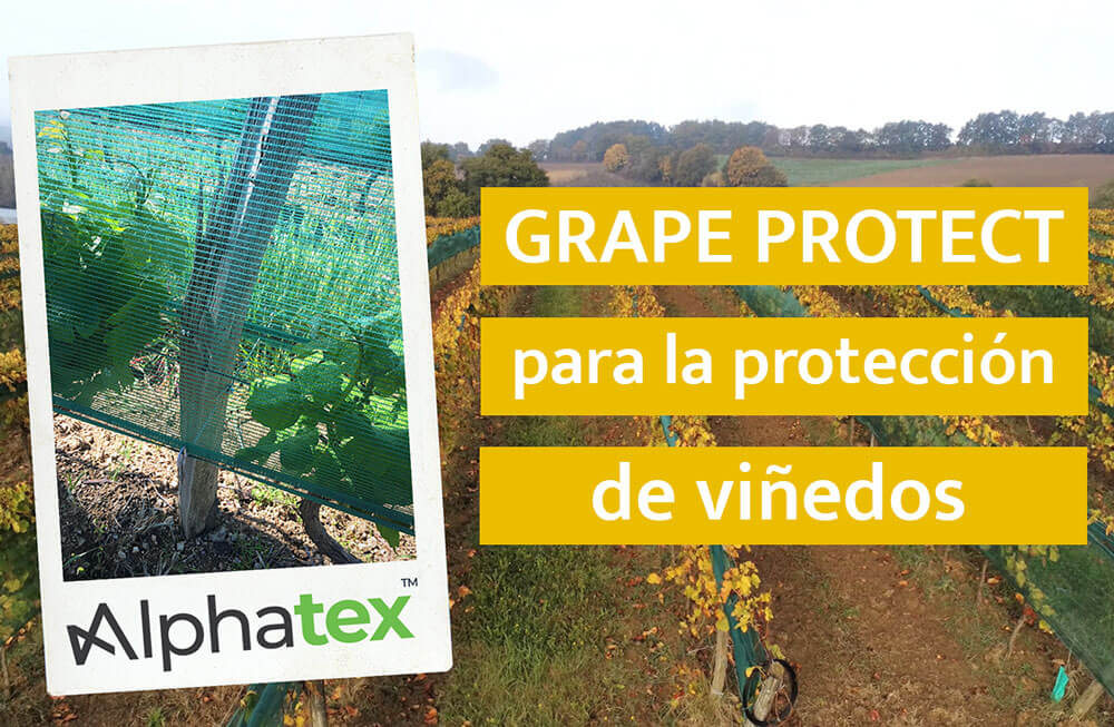 Grape Protect, nueva malla para la proteccion de vinedos