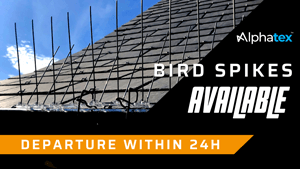 Bird spikes available in 2022