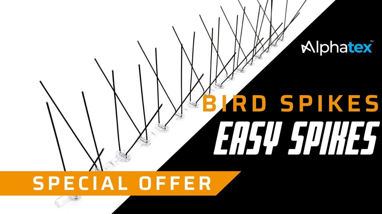 Special offer bird spikes