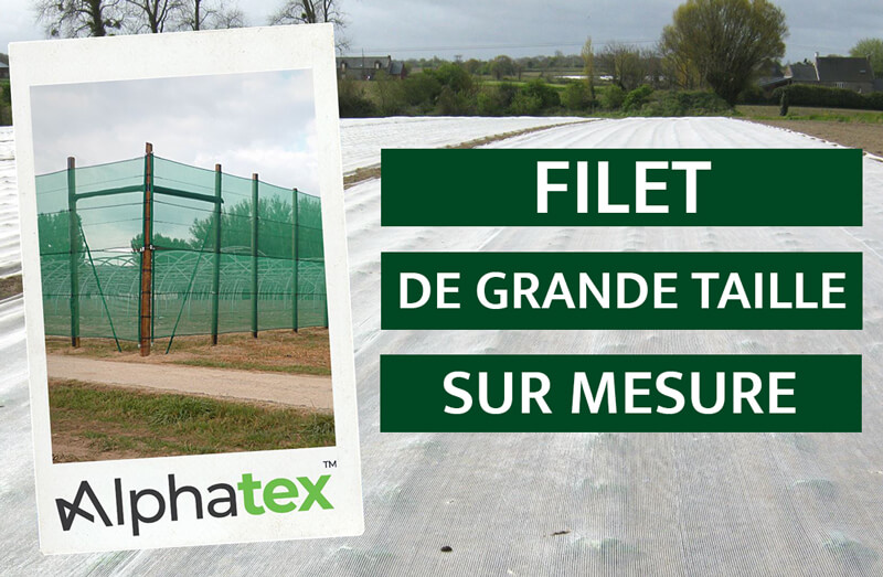 Alphatex, fabricant de filets de grandes tailles pour l'horticulture et le maraîchage