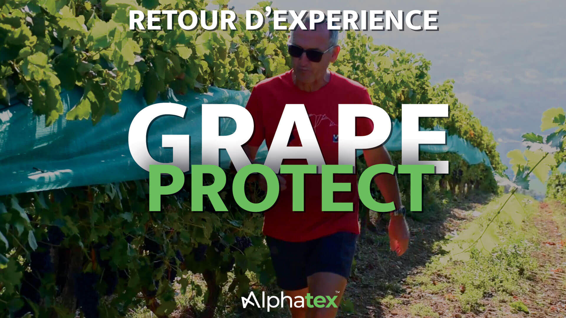 Retour d'expérience du Grape Protect - Filet de protection pour les vignes et le raisin