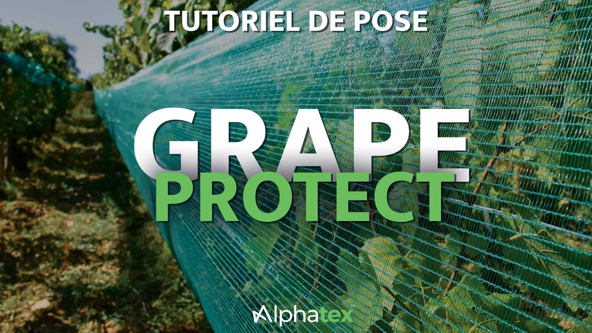Vidéo tutoriel de pose du Grape Protect