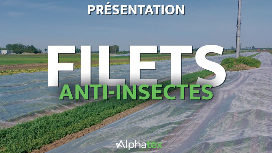 Présentation des filets anti-insectes de plein champs d'Alphatex