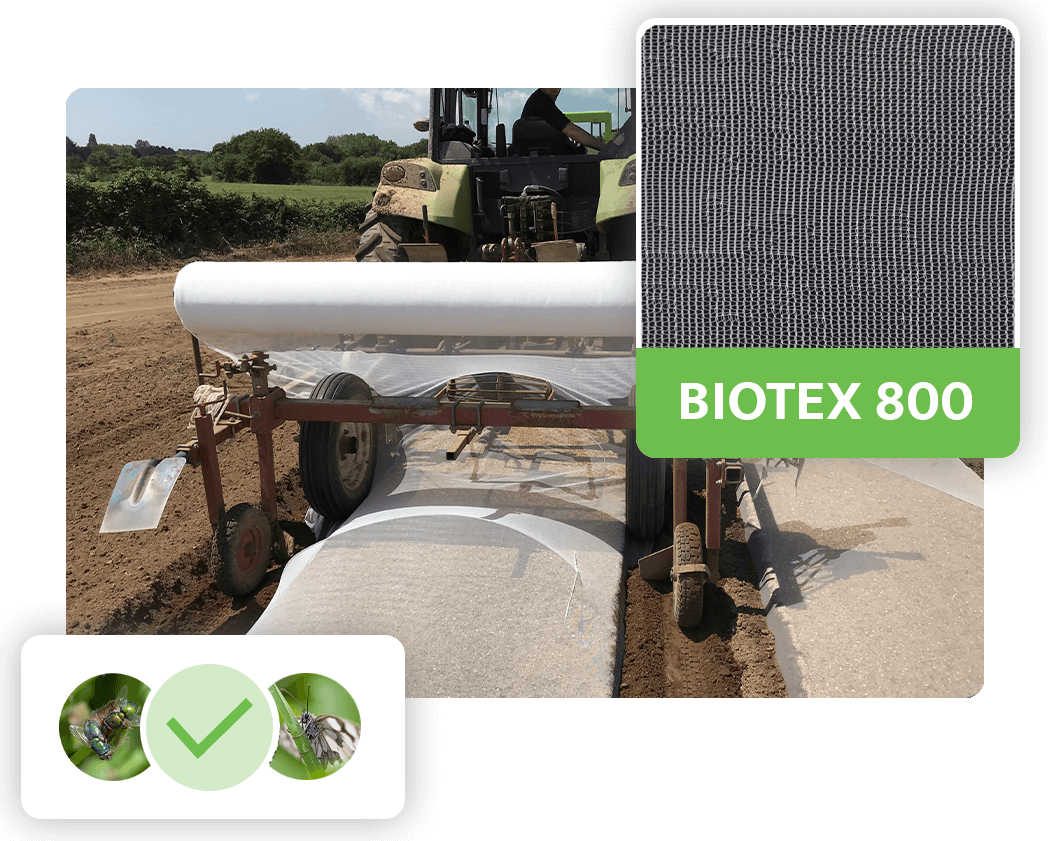 Biotex 80 : filet anti-insectes pour choux (spécialement pour les mouches, les papillons et les noctuelles)