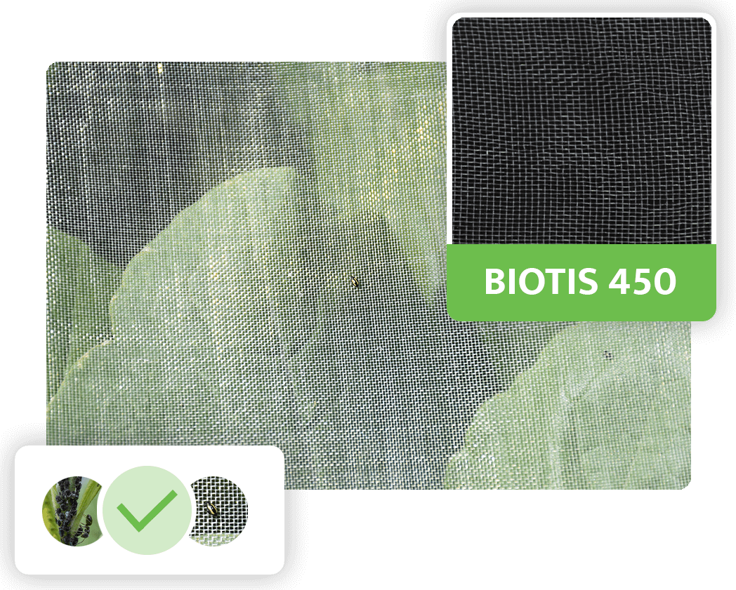 Biotis 450, filets anti-insectes pour choux contre les petites altises