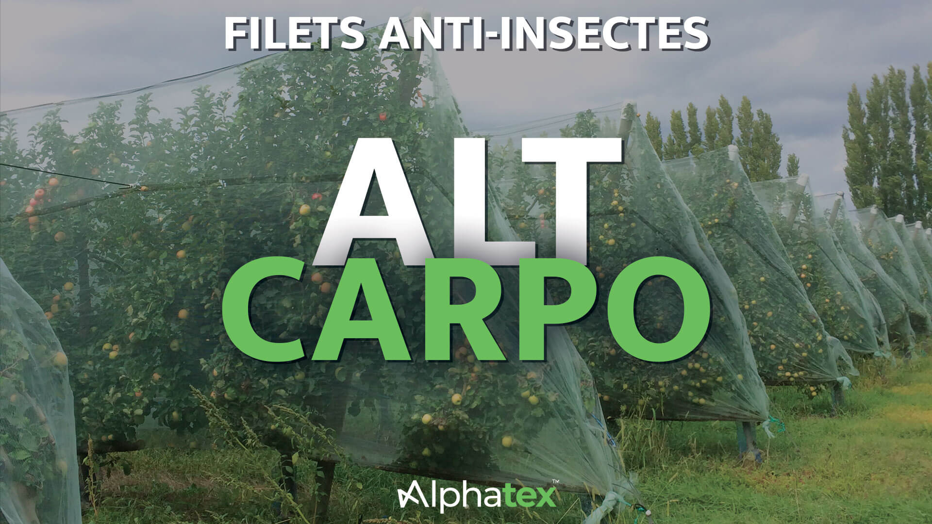 Filet anti carpocapses Alt'Carpo