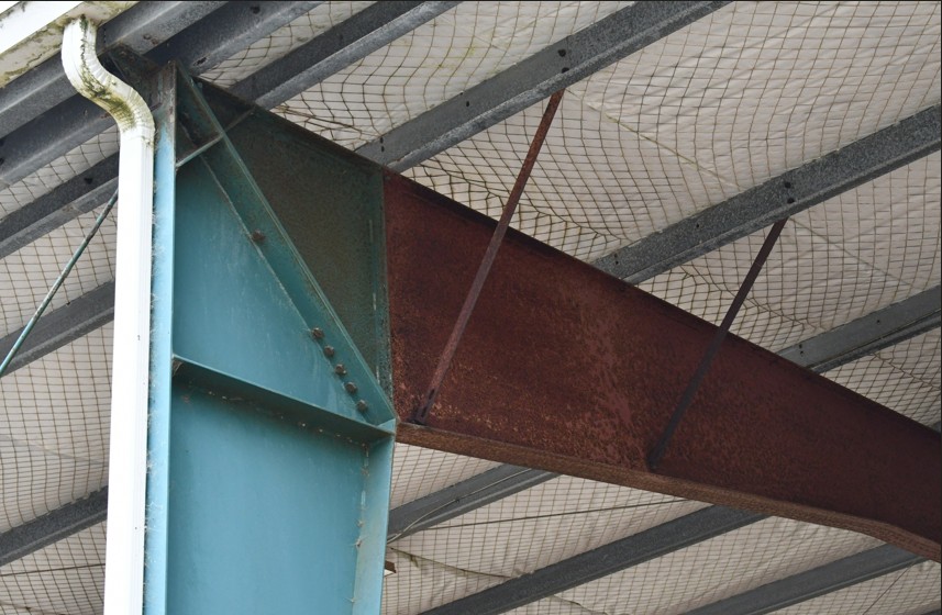 Filet anti-oiseaux en extérieur.