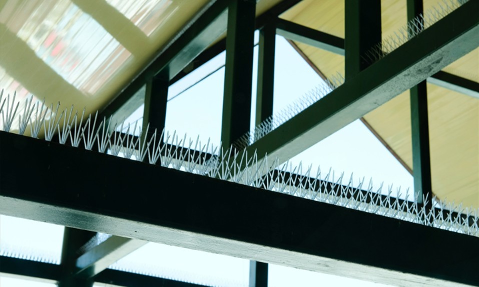 Pics anti-oiseaux en intérieur.