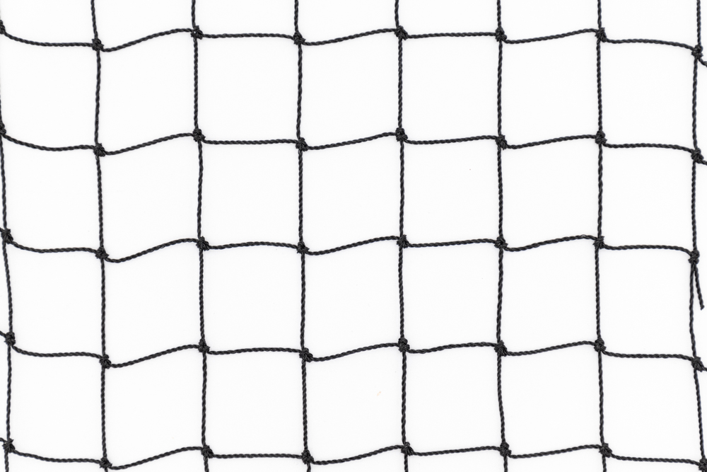 filet anti-étourneaux