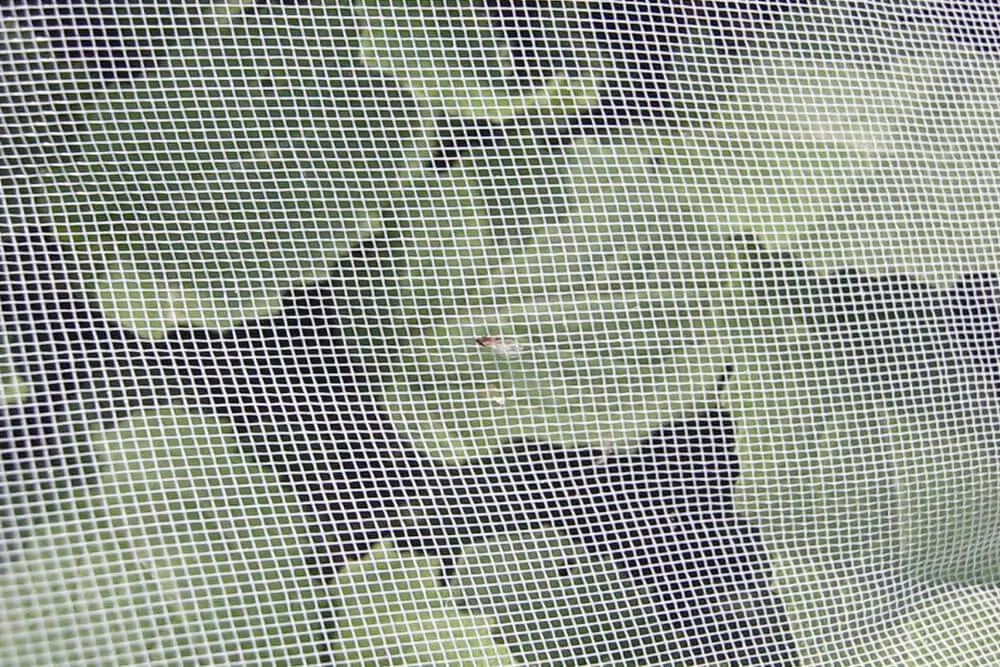 Filet anti-insectes Alphatex, Biotis 450