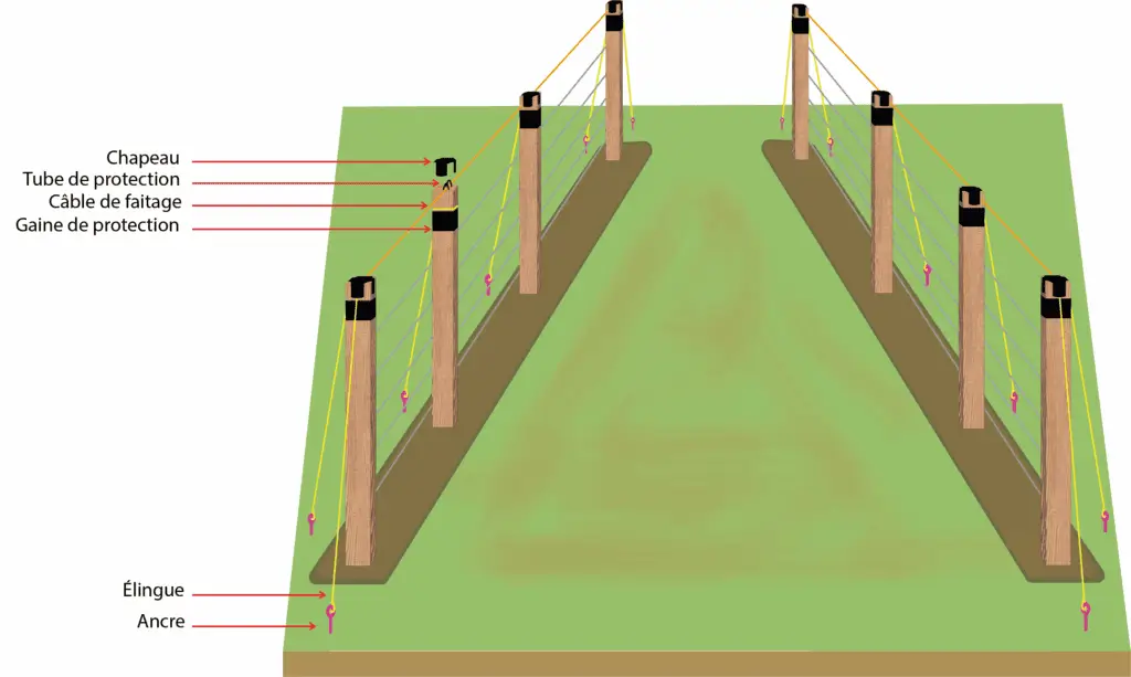 Schéma pose filet alt'carpo