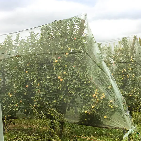 Filets Alt'Carpo sur des arbres