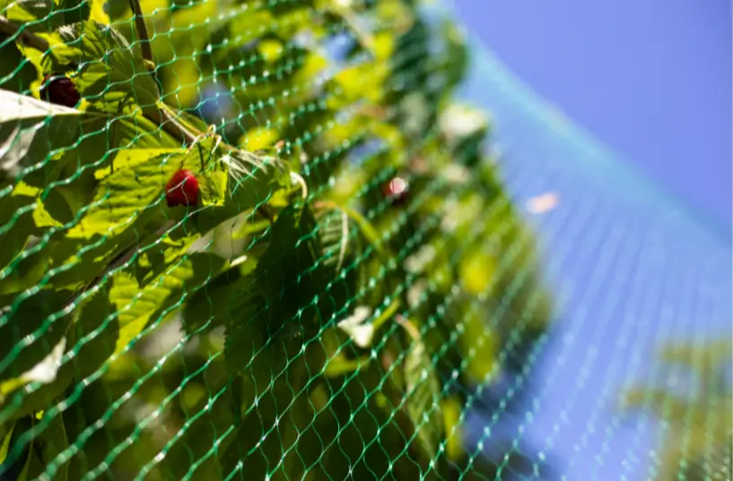 Filet Alt'Tordeuse chez Alphatex