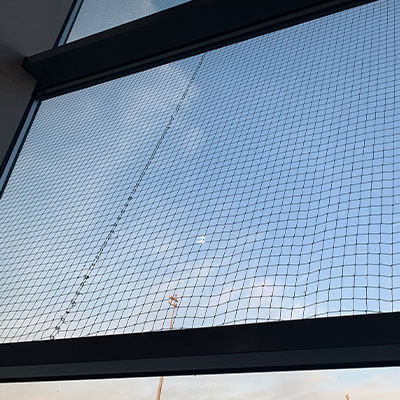 Filet anti-étourneaux posé sur la fenêtre d'un entrepôt