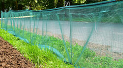 Filets pour batraciens