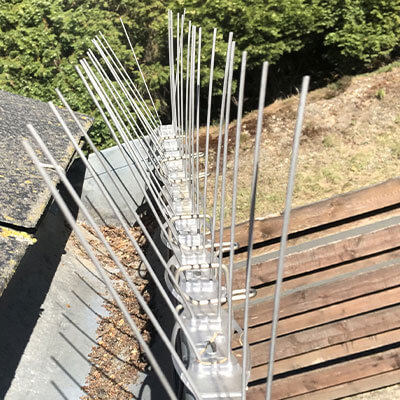 Pics anti-oiseaux Alphapics sur gouttière