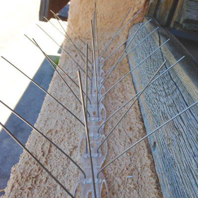 Pics anti-oiseaux Alphapics sur un rebord de fenêtre