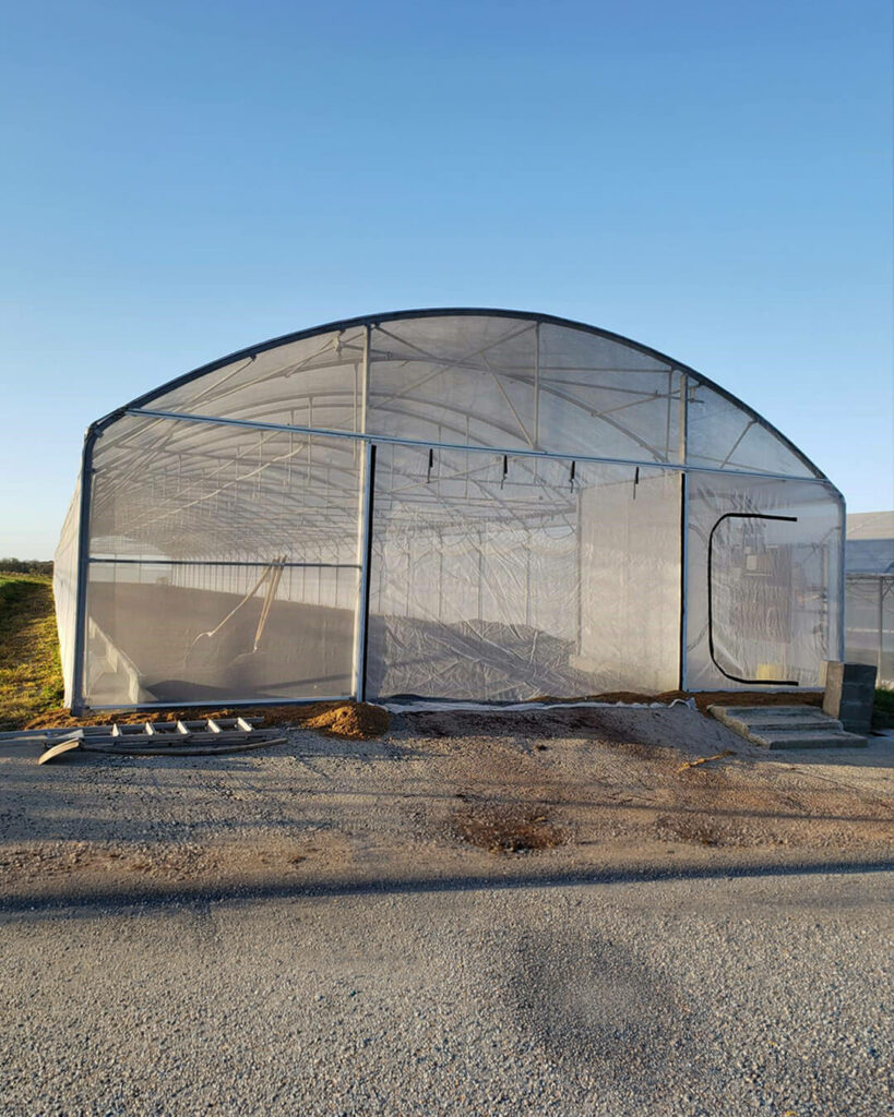 Filet anti-drosophiles sur serre