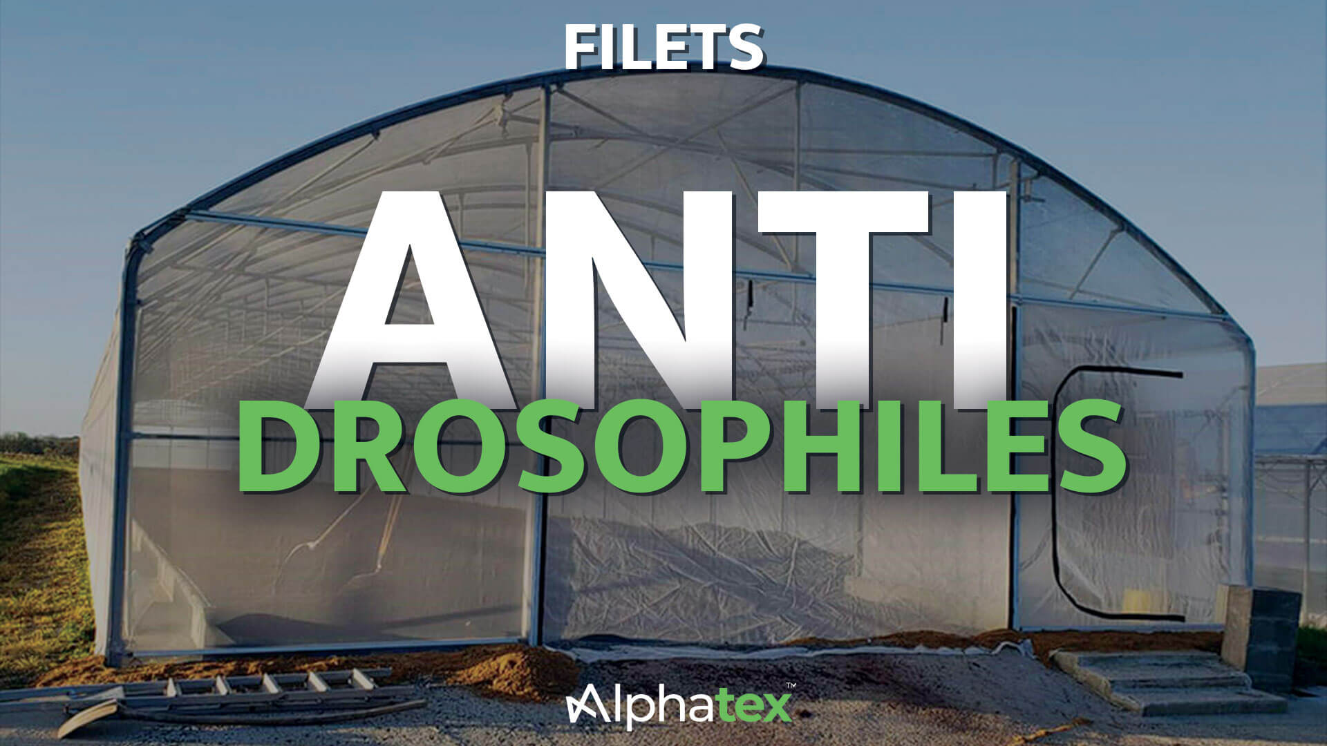 Filets anti-drosophiles avec Alphatex