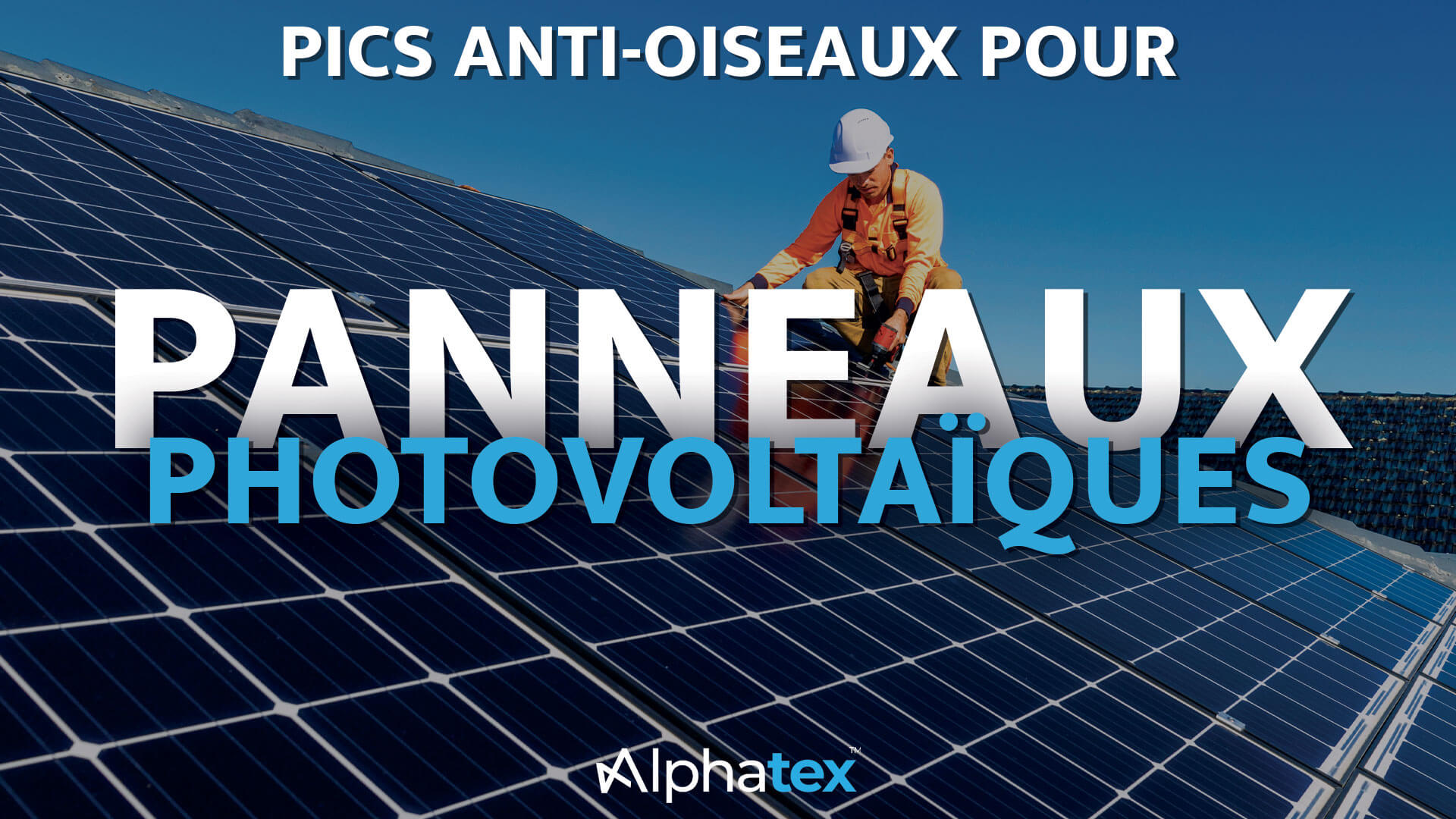 Pics anti-oiseaux pour panneaux solaires d'Alphatex